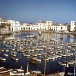 algerie025
