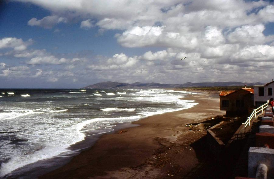 CourbetMarine, la grande plage vue vers l'Est (cap Djinet)